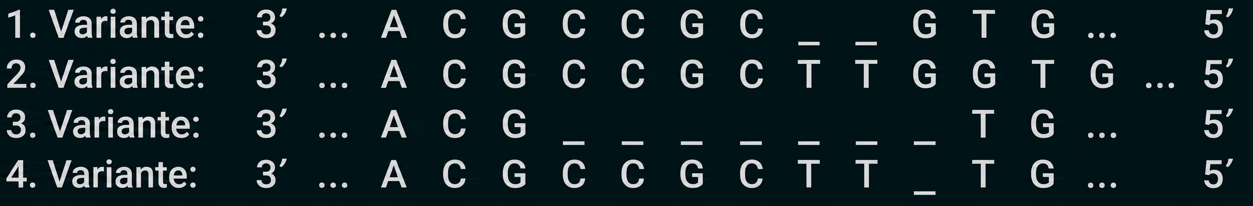 Vier Varianten von DNA-Sequenzen (3'–5') mit A, C, G, T und Lücken